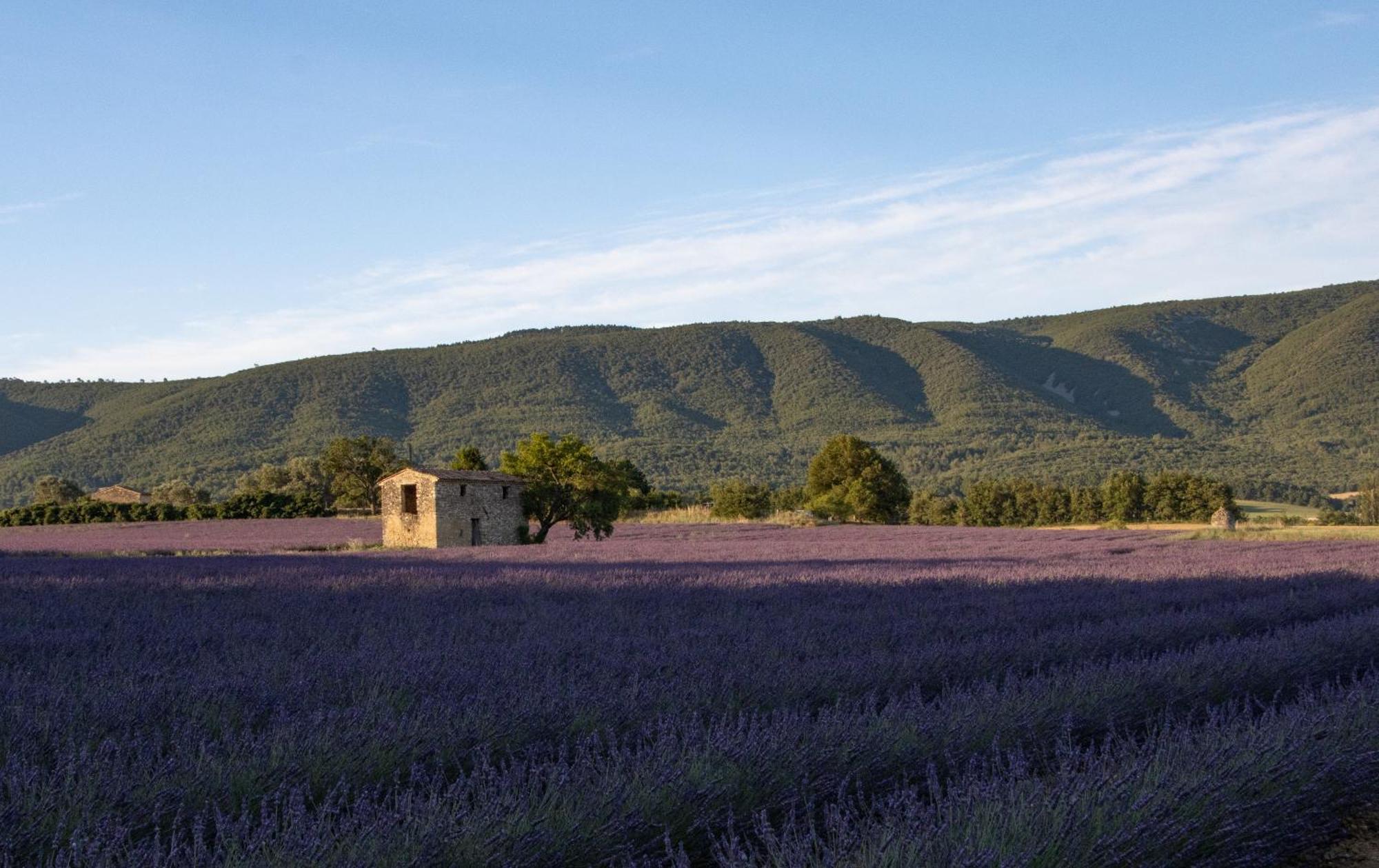 Studio Dans Le Luberon Céreste Extérieur photo