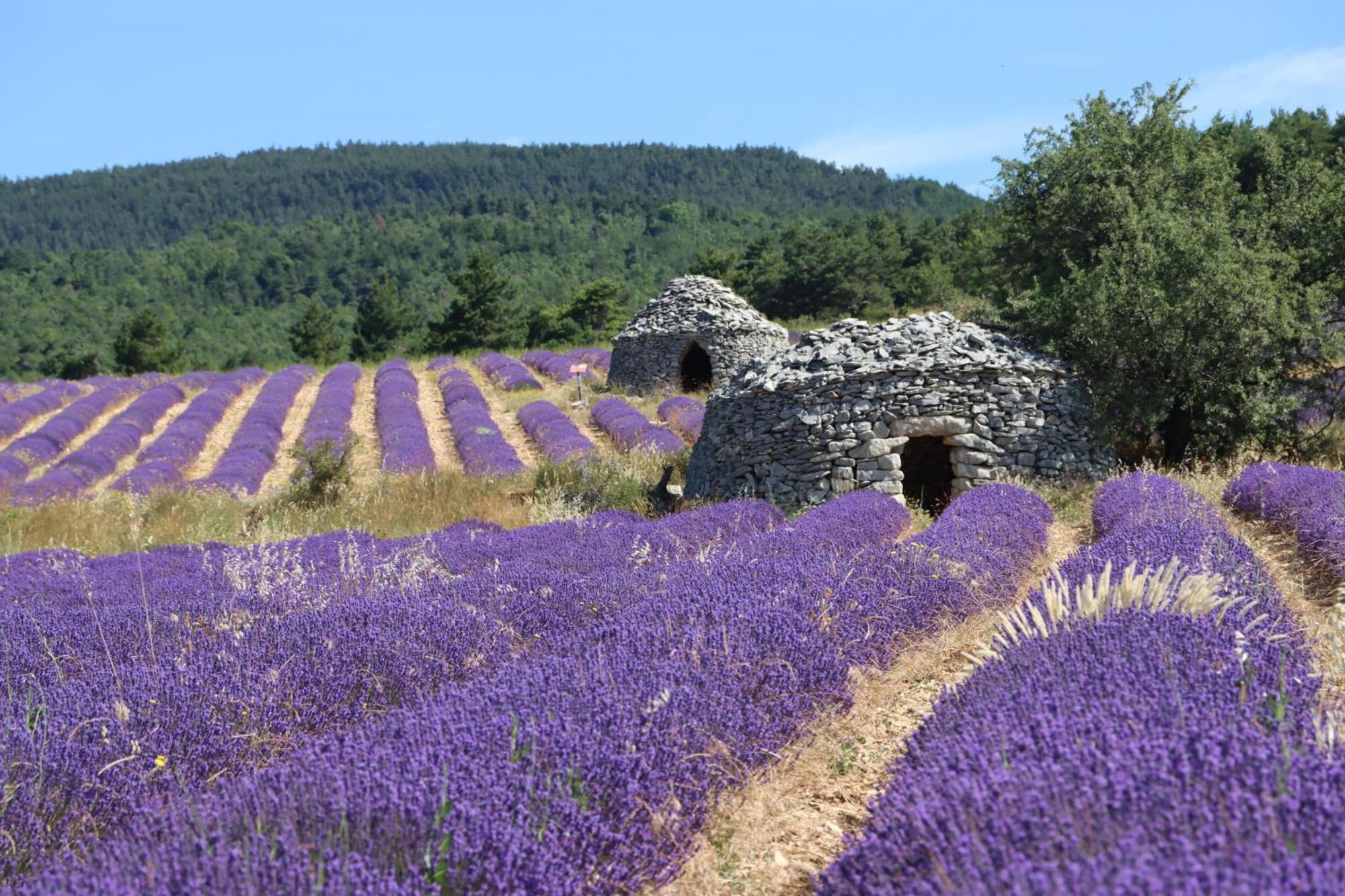Studio Dans Le Luberon Céreste Extérieur photo