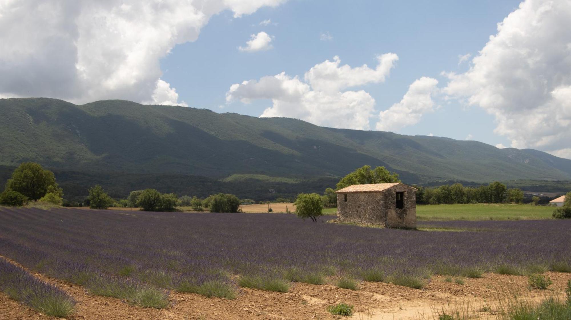 Studio Dans Le Luberon Céreste Extérieur photo